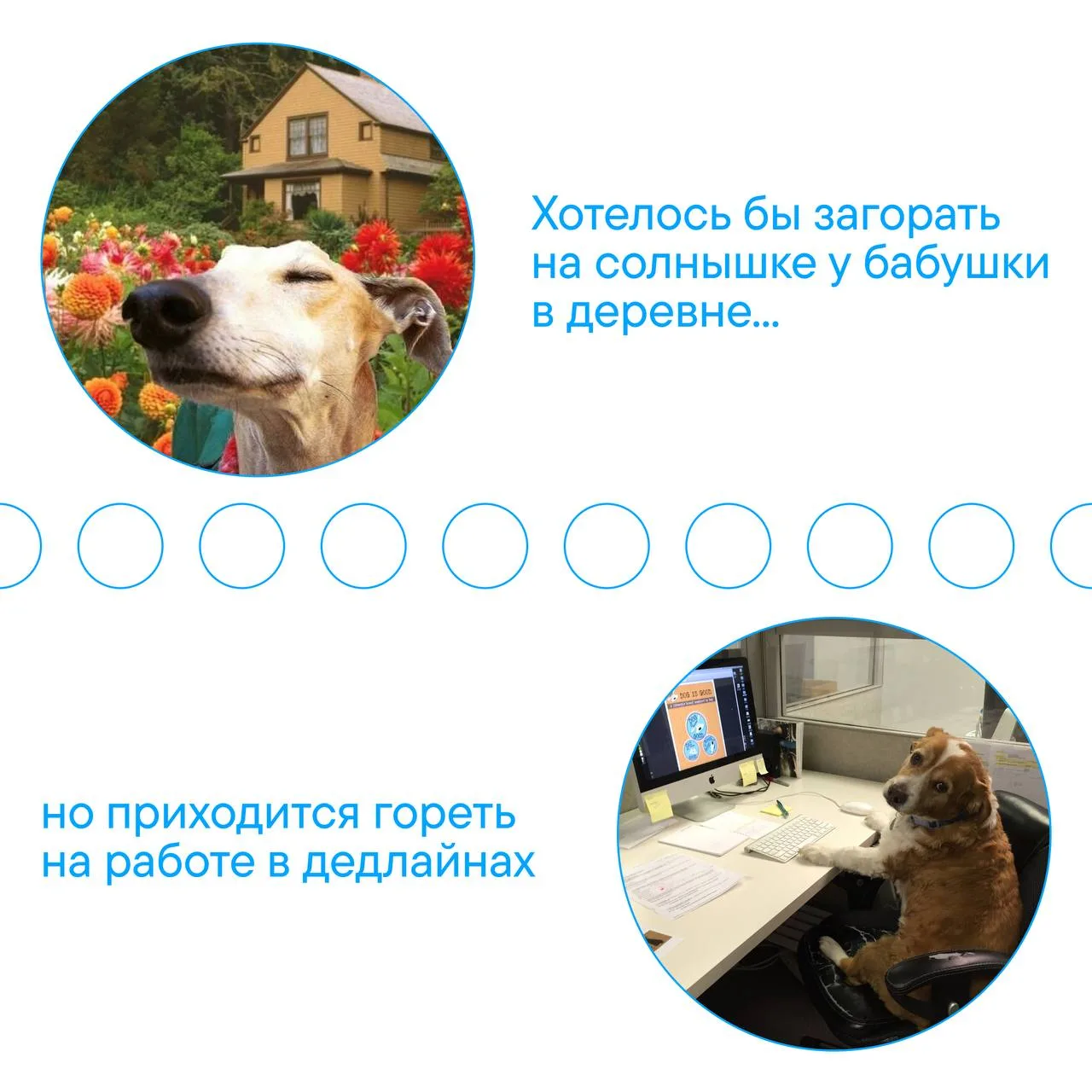 Хотелось бы выйти на каникулы, но пока выходим только на работу 👍