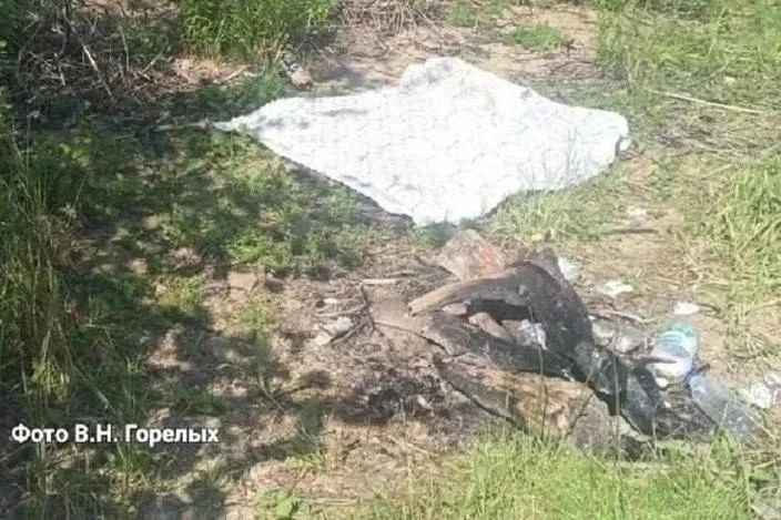 🐋Четверо рыбаков из Татарстана пострадали при взрыве газовой плитки на Бисертском пруд...