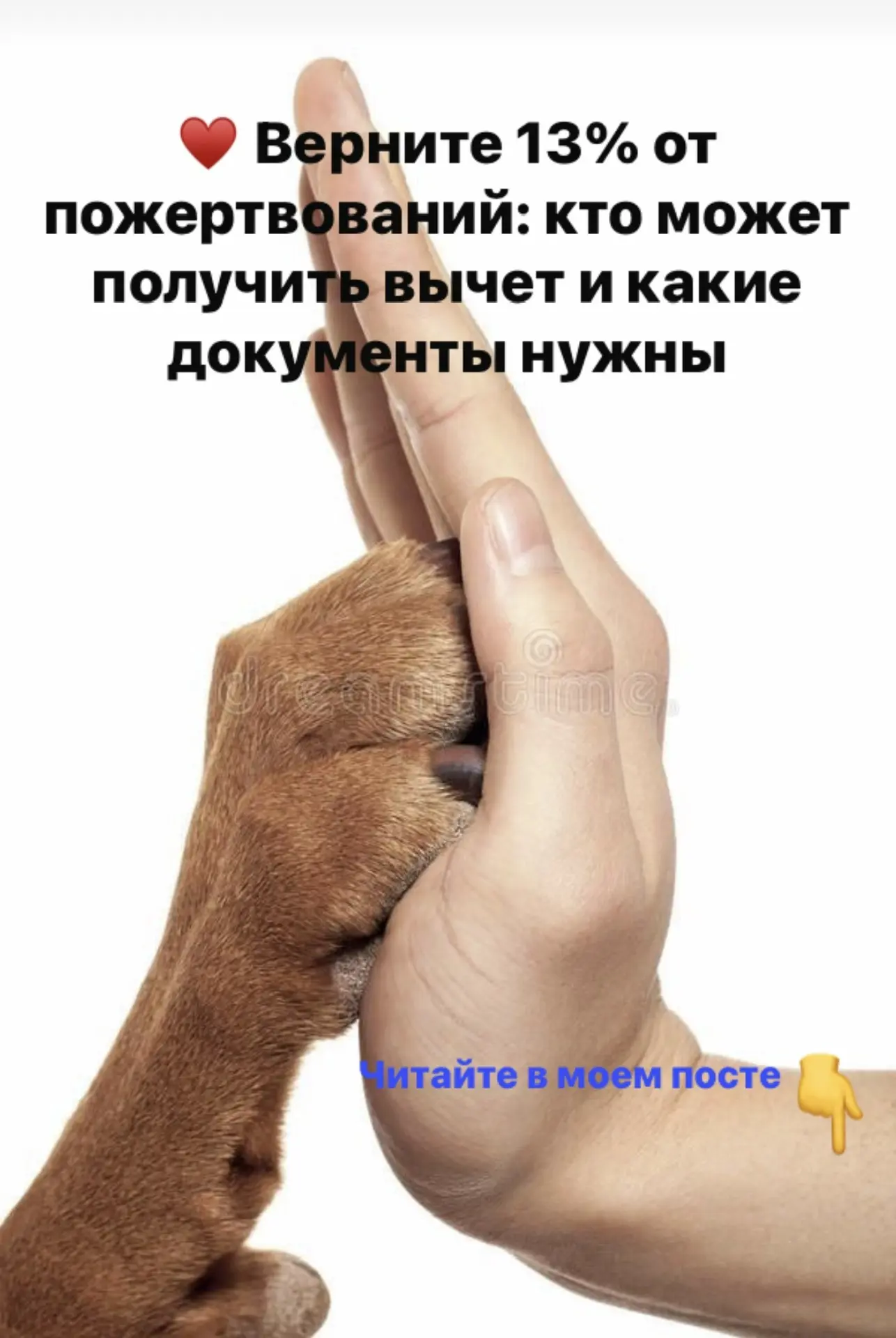 ♥️Верните 13% от пожертвований: кто может получить вычет и какие документы нужны
