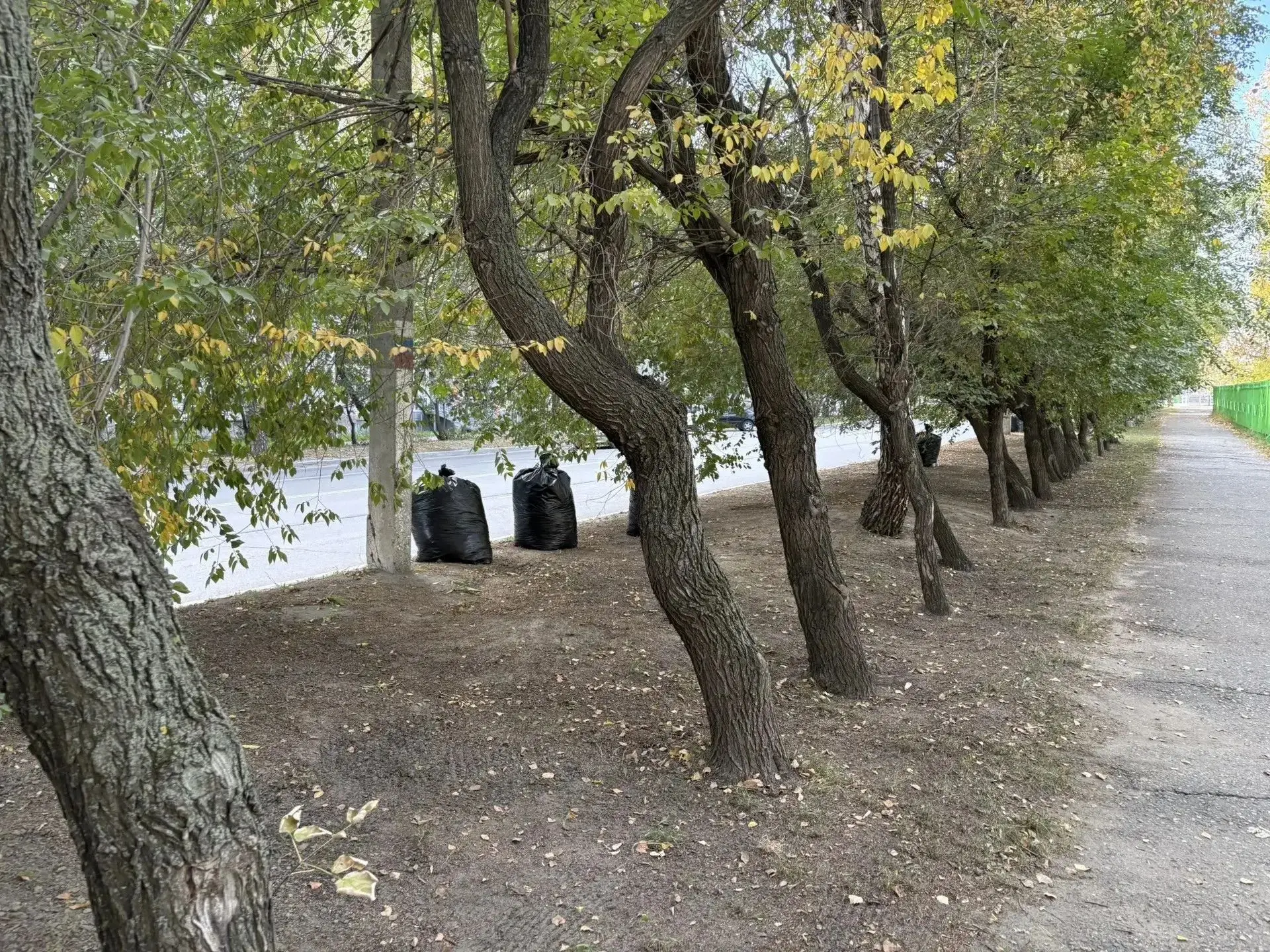2 октября в нашем городе состоялся масштабный общегородской субботник. Центральными пло...