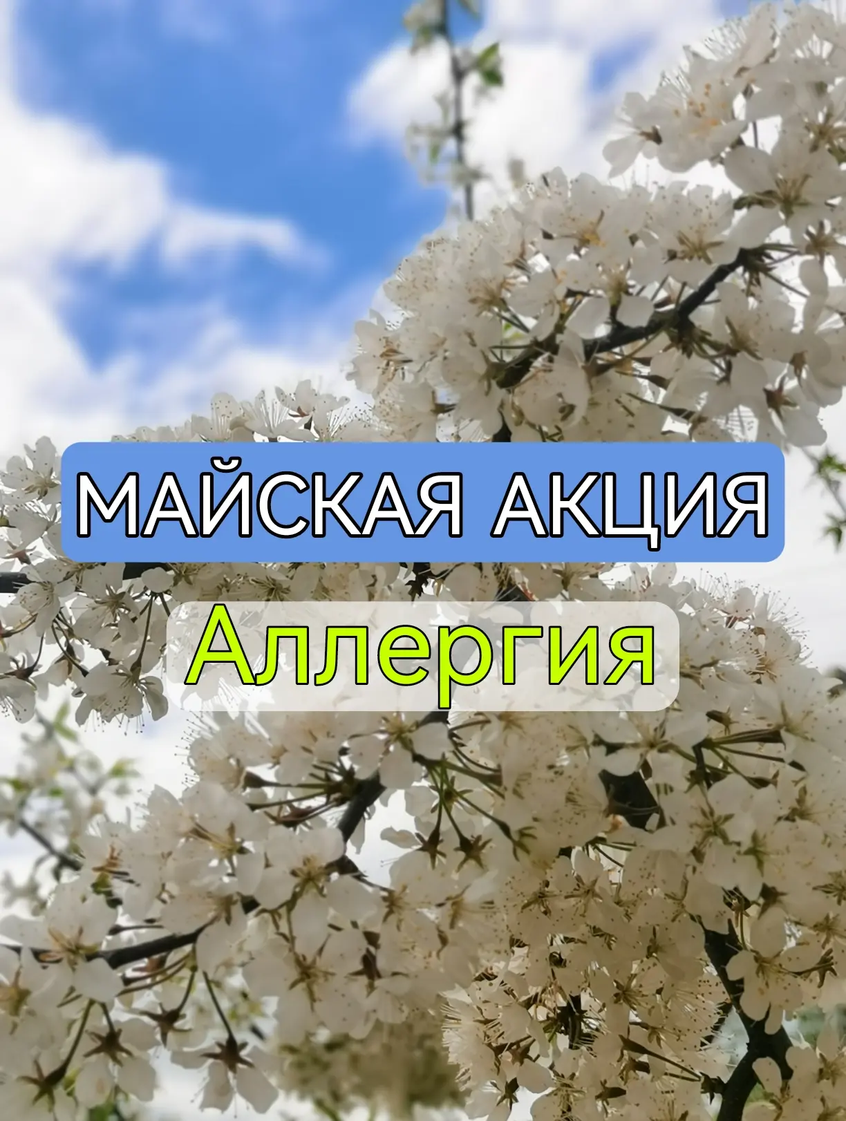 МАЙ БЕЗ ТАБЛЕТОК И СЛЕЗ: Акция на освобождение от аллергии 🌸✨
