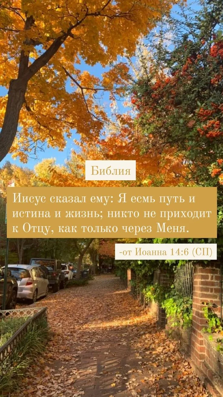 Библия на каждый день