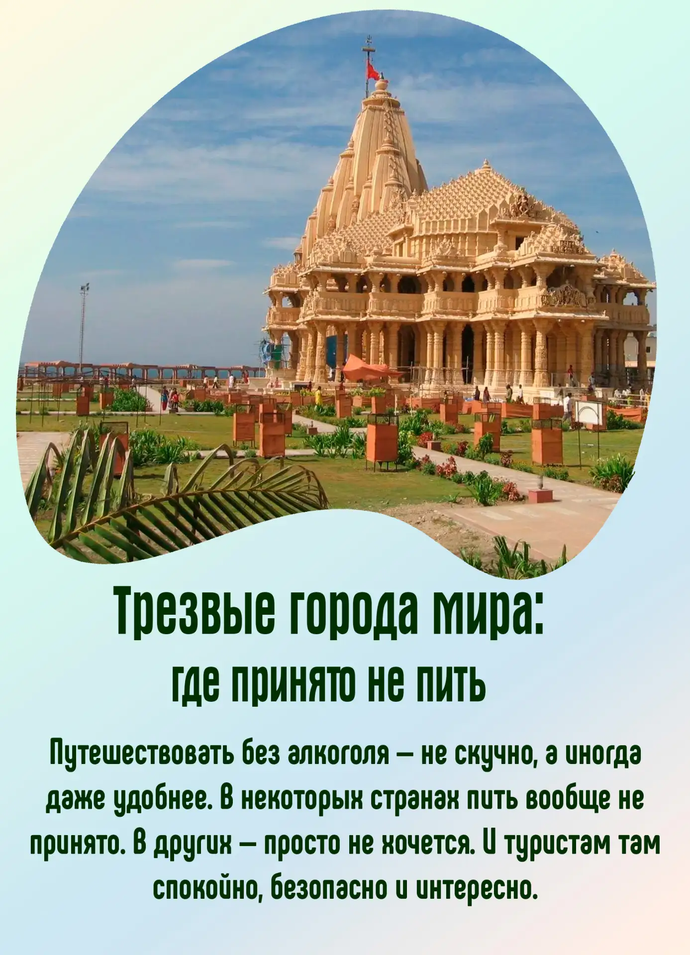 Отдых без алкоголя — это не скучно, а очень даже выгодно и модно. Пока одни ищут бары н...