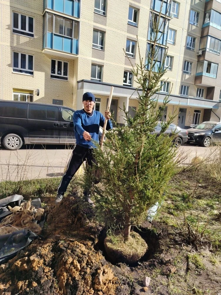 🌿 Накануне на дворовой территории дома Камова, 5 корпус 2 проведены работы по благоустройству  По ин