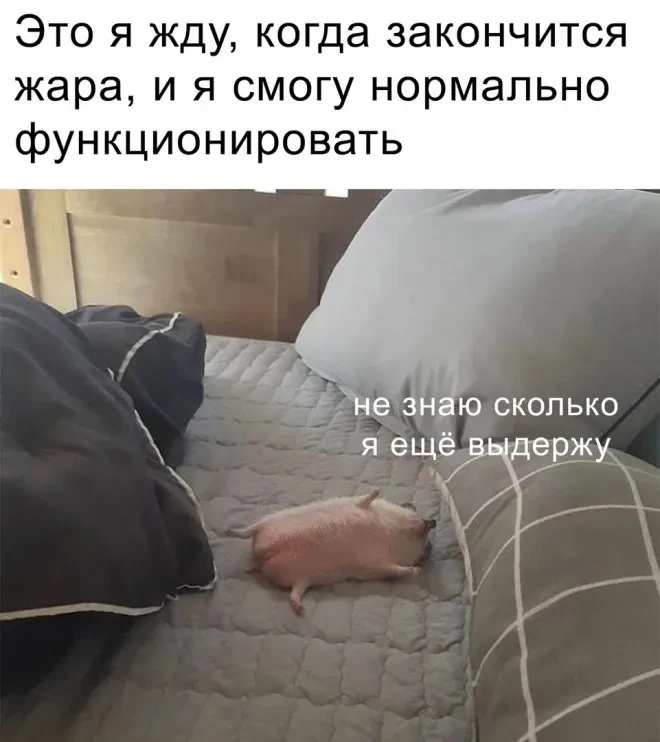 Доброе утро, Москва!

Продолжаем длинные выходные ещё одним жарким днём. Сегодня температура в пиков