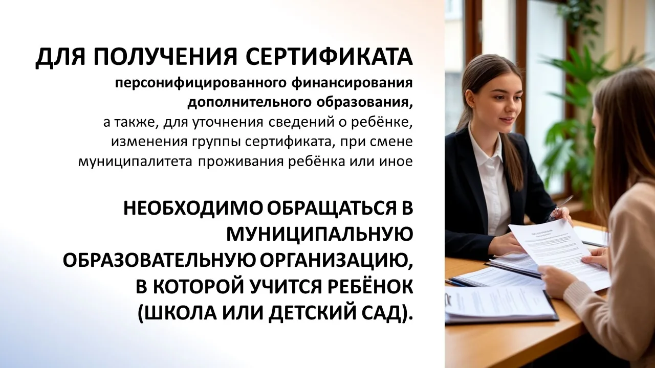 🎓 Сертификат дополнительного образования: как получить, восстановить или изменить данные?