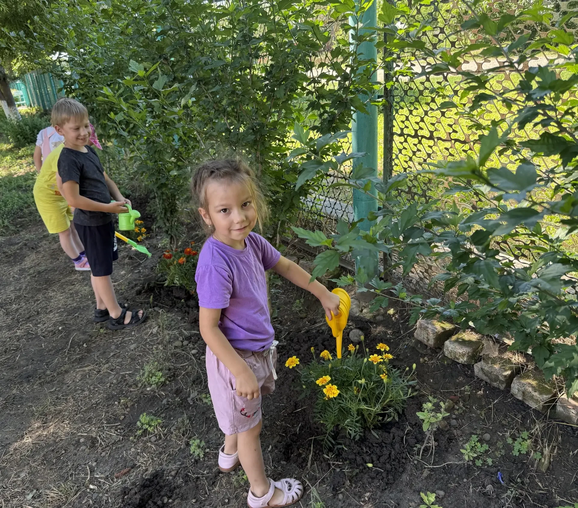 🌼 Наши маленькие садоводы: Уход за бархатцами
