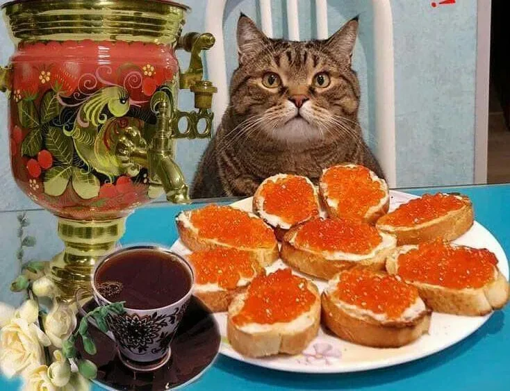 Эх, хотела бы я завтракать так, а не овсяной кашей 😃  Но мечты, мечты....