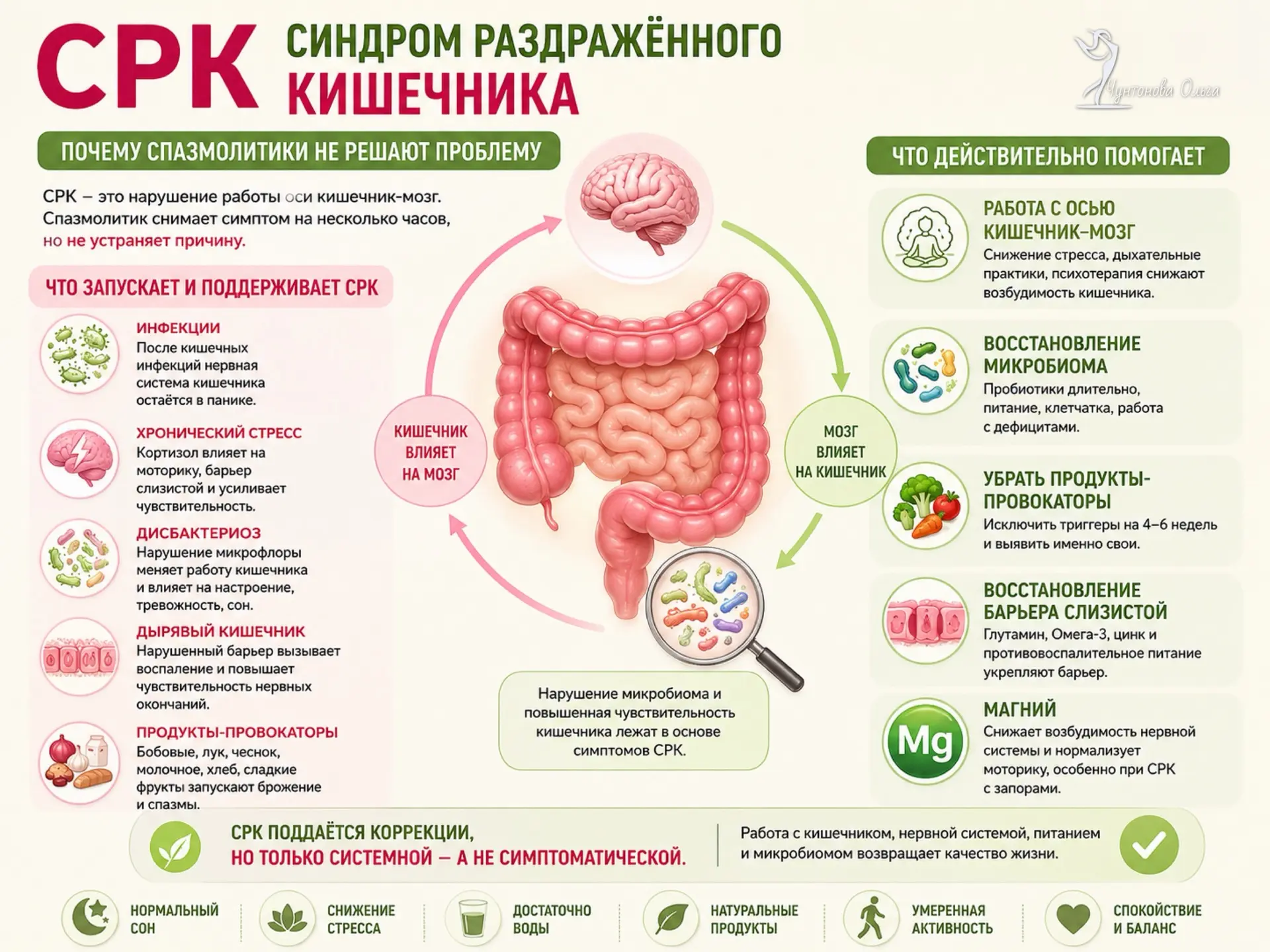 Синдром раздражённого кишечника — это не просто «спазмы в животе». Сегодня подробно разберу тему на 