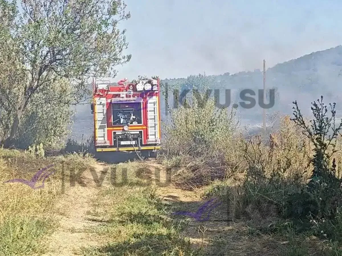В Шахтах пожар охватил сразу 20 дворов и огородов. Огонь начался с сухого камыша и из-з...