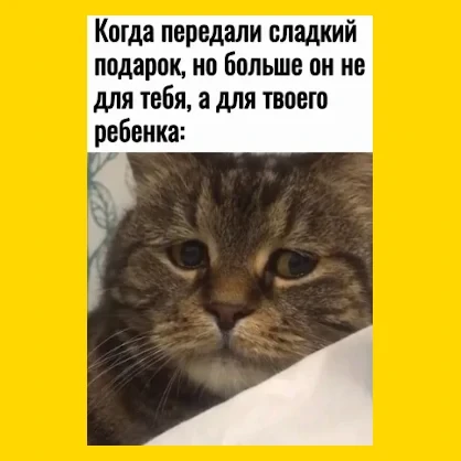 Полный Хохотамбл! Подпишись скорее