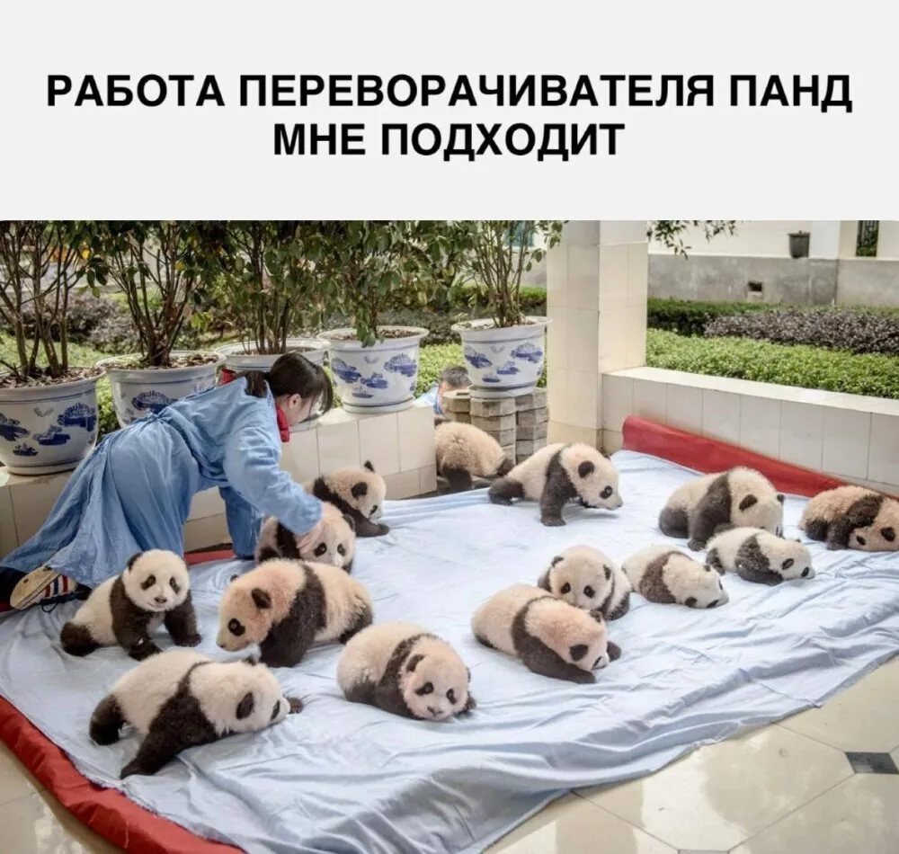 Соседи, вопрос дня.