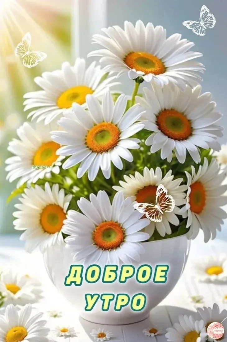 ❤️Дорогие друзья!
Напоминаем, что уже завтра, 18 июня,  в 18:00 состоится розыгрыш среди наших подпи