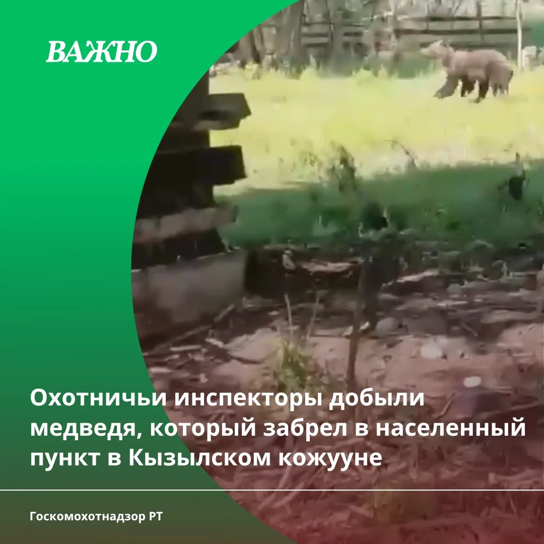 Сегодня в Государственный комитет по охране объектов животного мира Республики Тыва пос...
