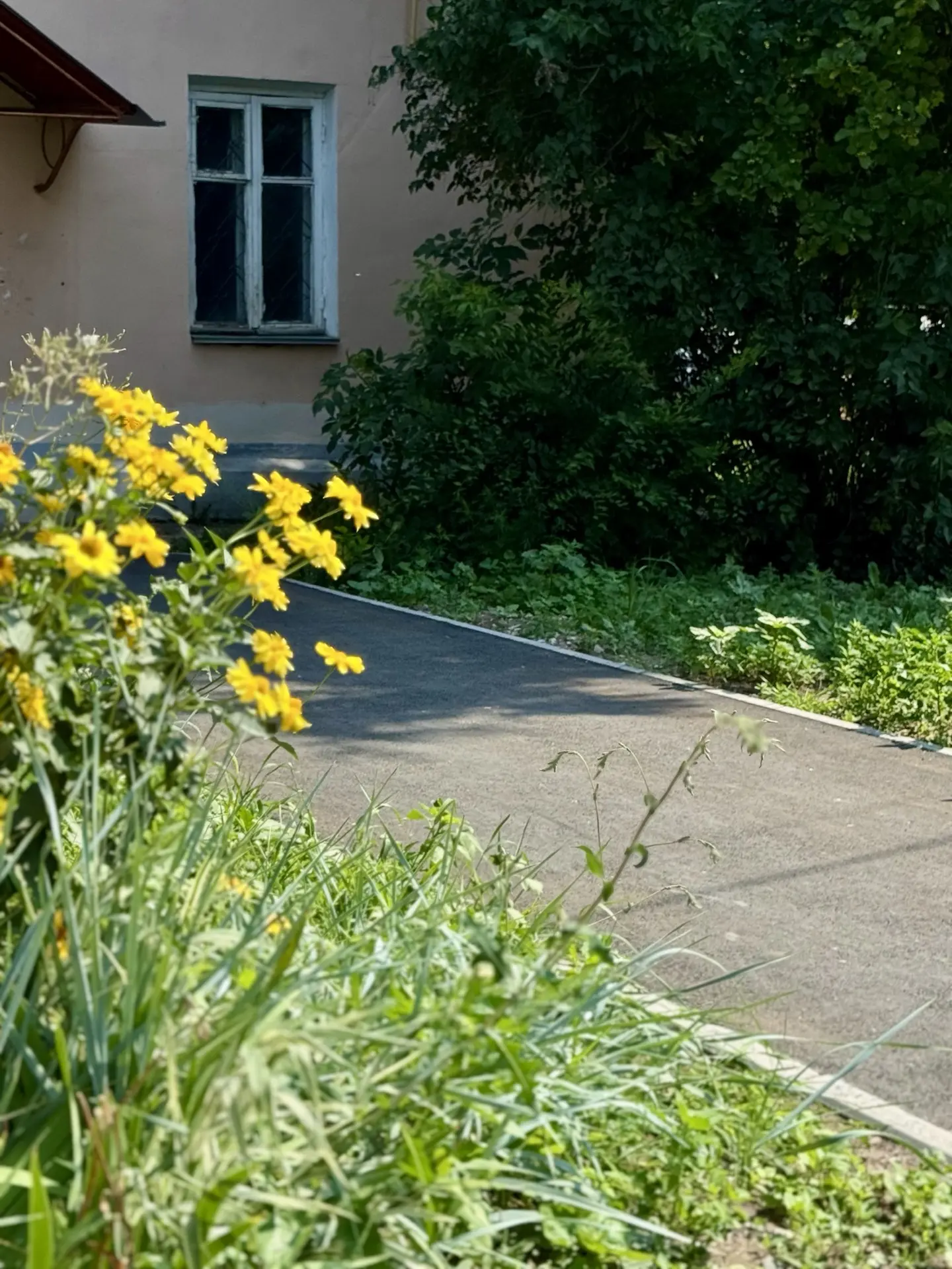 🏡 Во дворе на Советской, 60 завершено благоустройство

Работы выполнены в рамках программы формиров