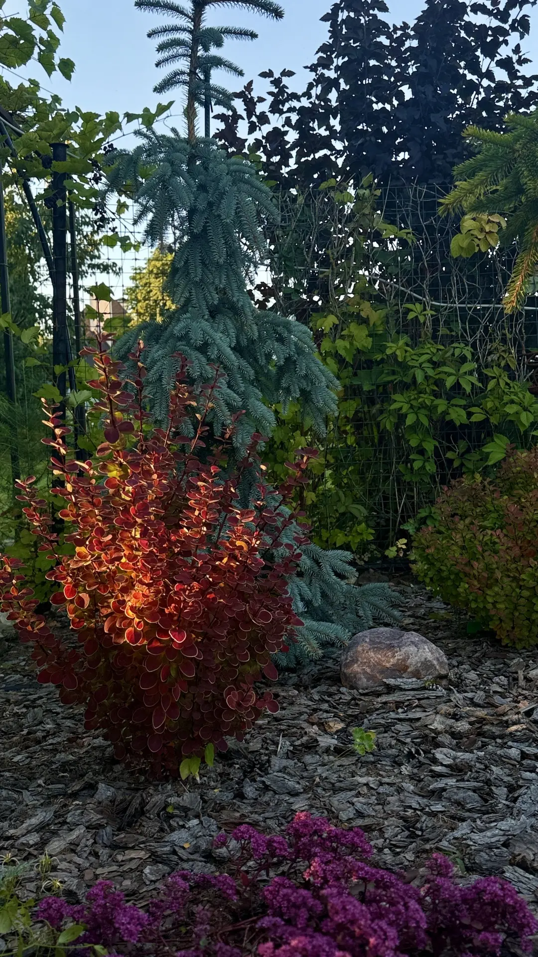 🌿 Всем пятничный привет из подмосковной Истры!