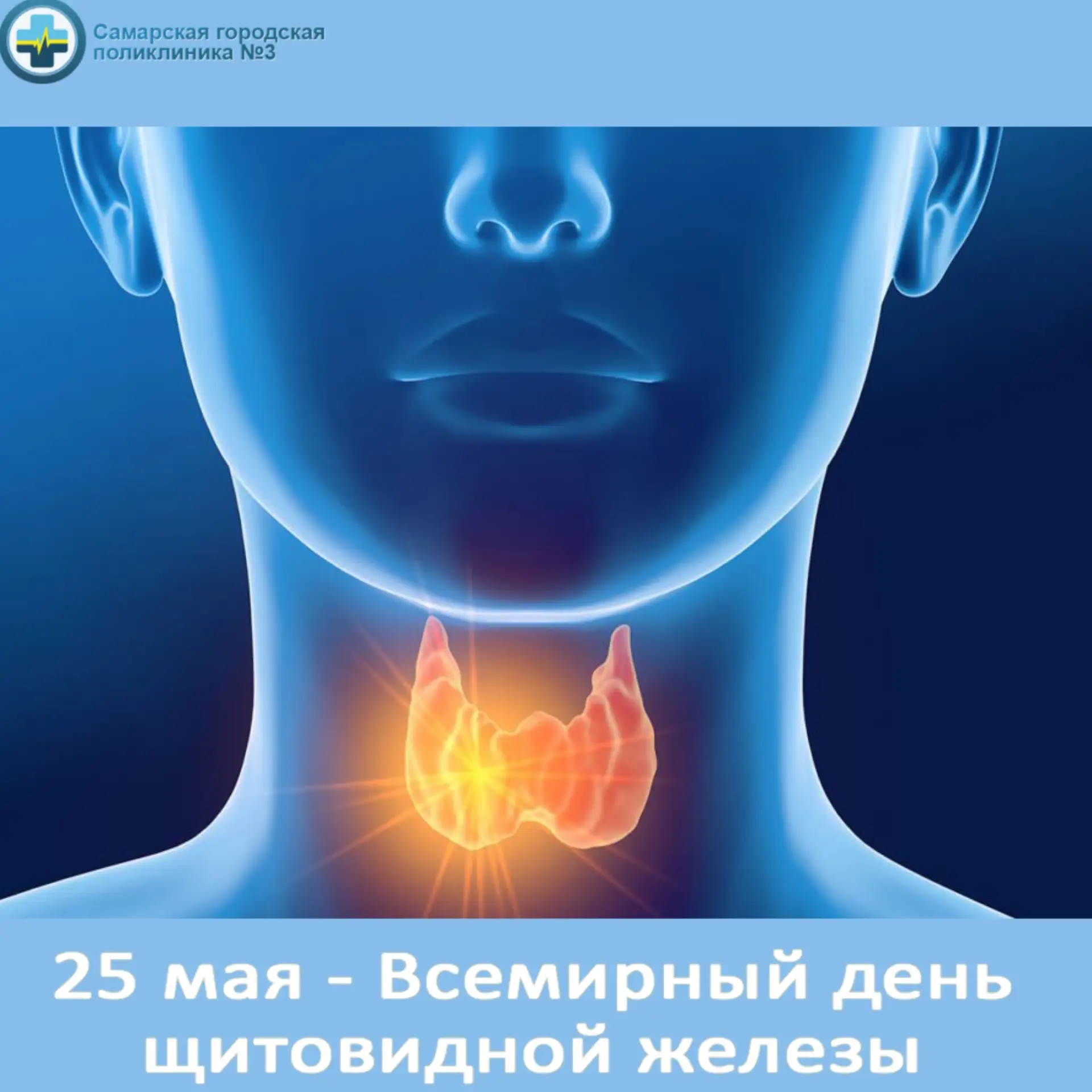 Ежегодно 25 мая отмечается Всемирный день щитовидной железы.