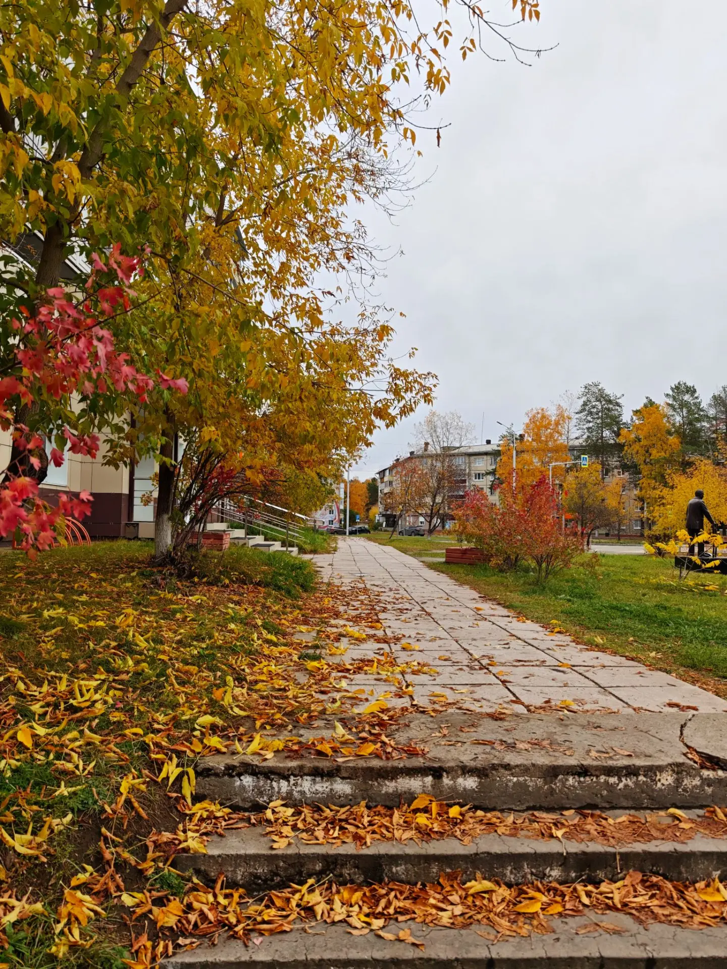 Для тех, кто не понял что это за прекрасное место 🍁🍂