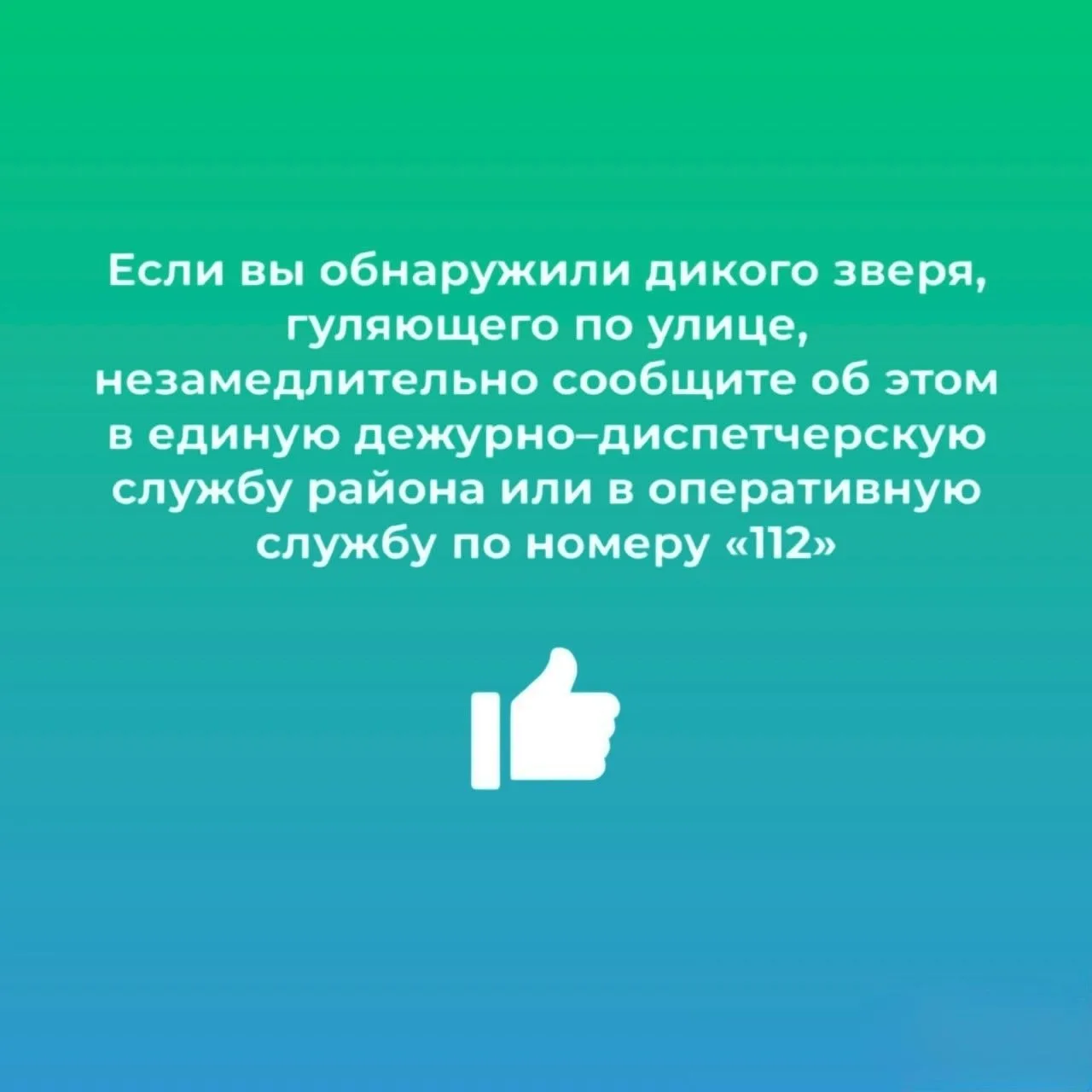 Осторожно, дикие звери ❗