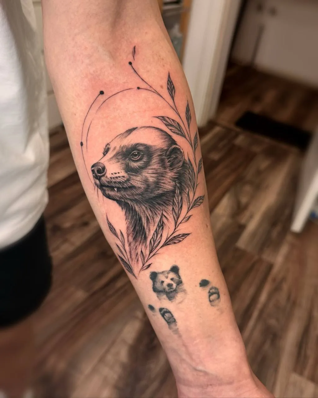 Медоед 🦡