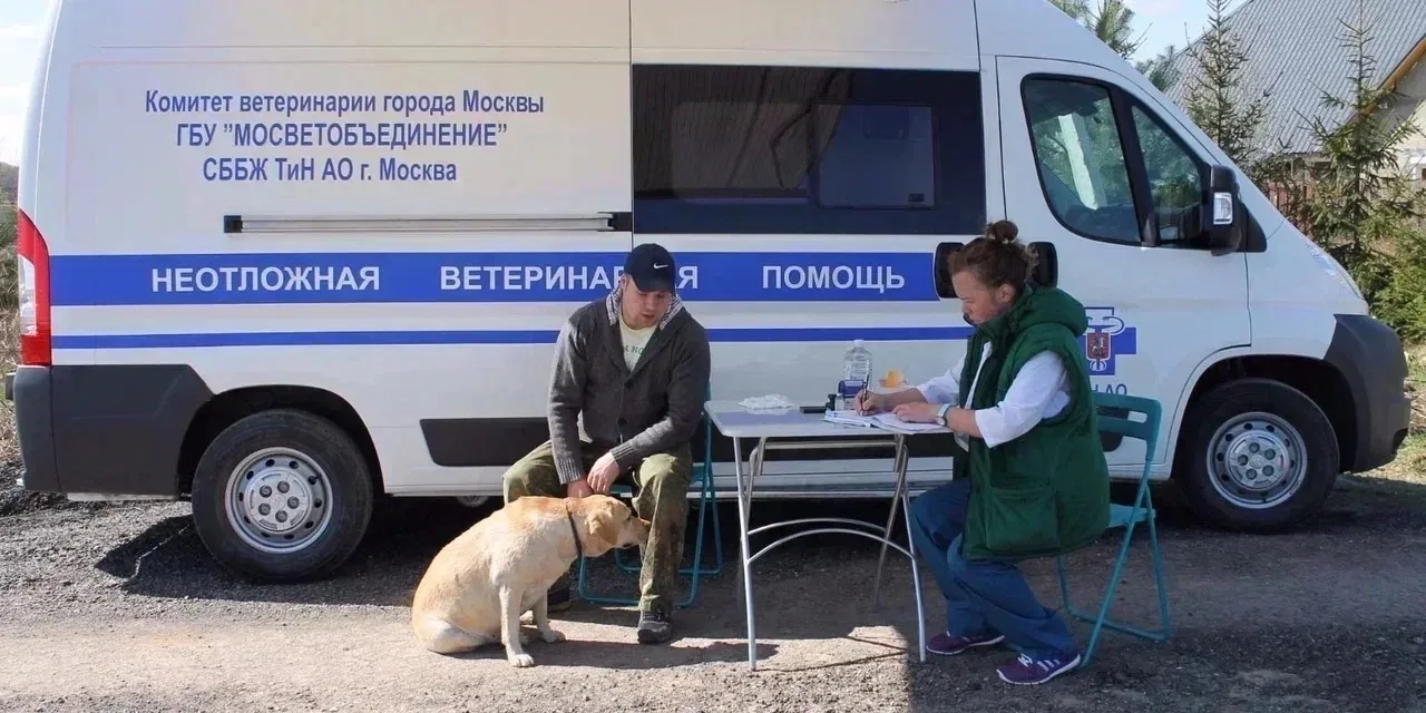 Плановые вакцинации от бешенства пройдут на территории района 11 сентября