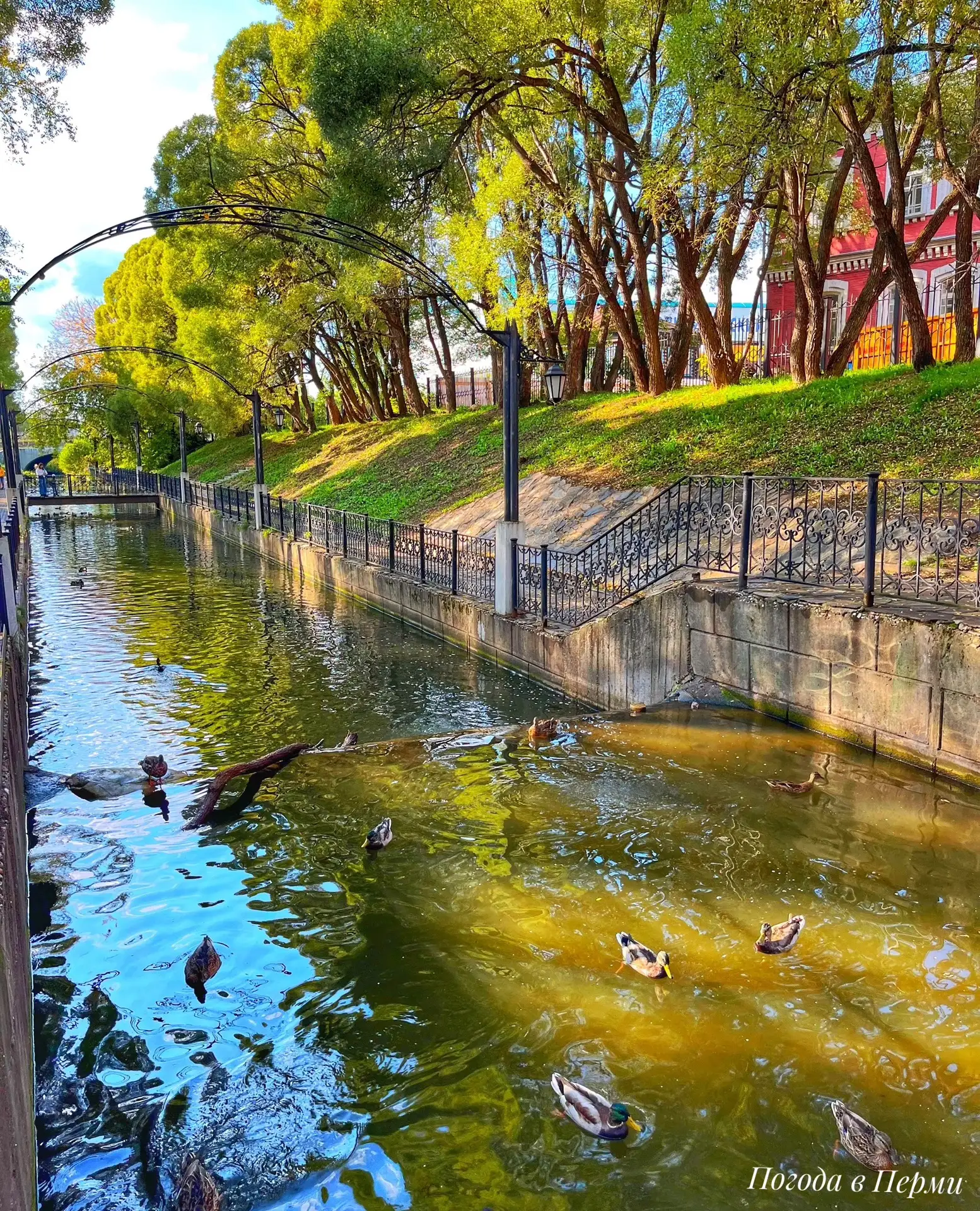 🌳💚 Маленький островок спокойствия