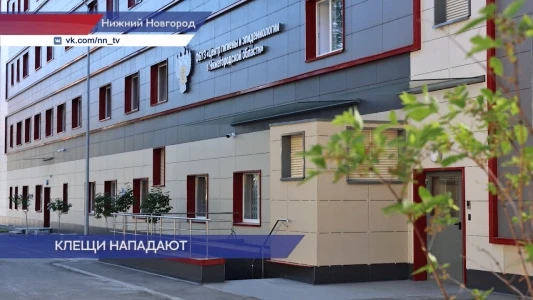 Четыре человека заболели клещевым вирусным энцефалитом в Нижегородской области
