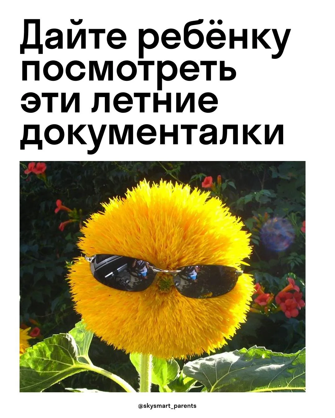 Чем ещё занять ребёнка летом? 🧐
Записывайтесь его в наш бесплатный онлайн-лагерь по ссылке