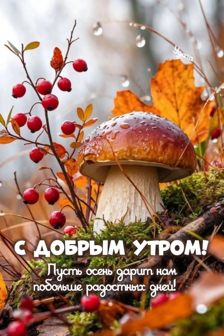 Изображение 1 к публикации «Красивые открытки в MAX»