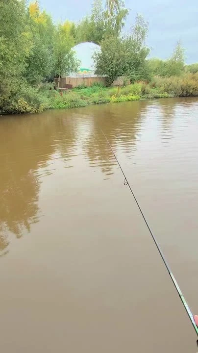 Все хотят трофей. Щуку на десятку, судака под пятёрку, фото с рыбой на вытянутых руках.