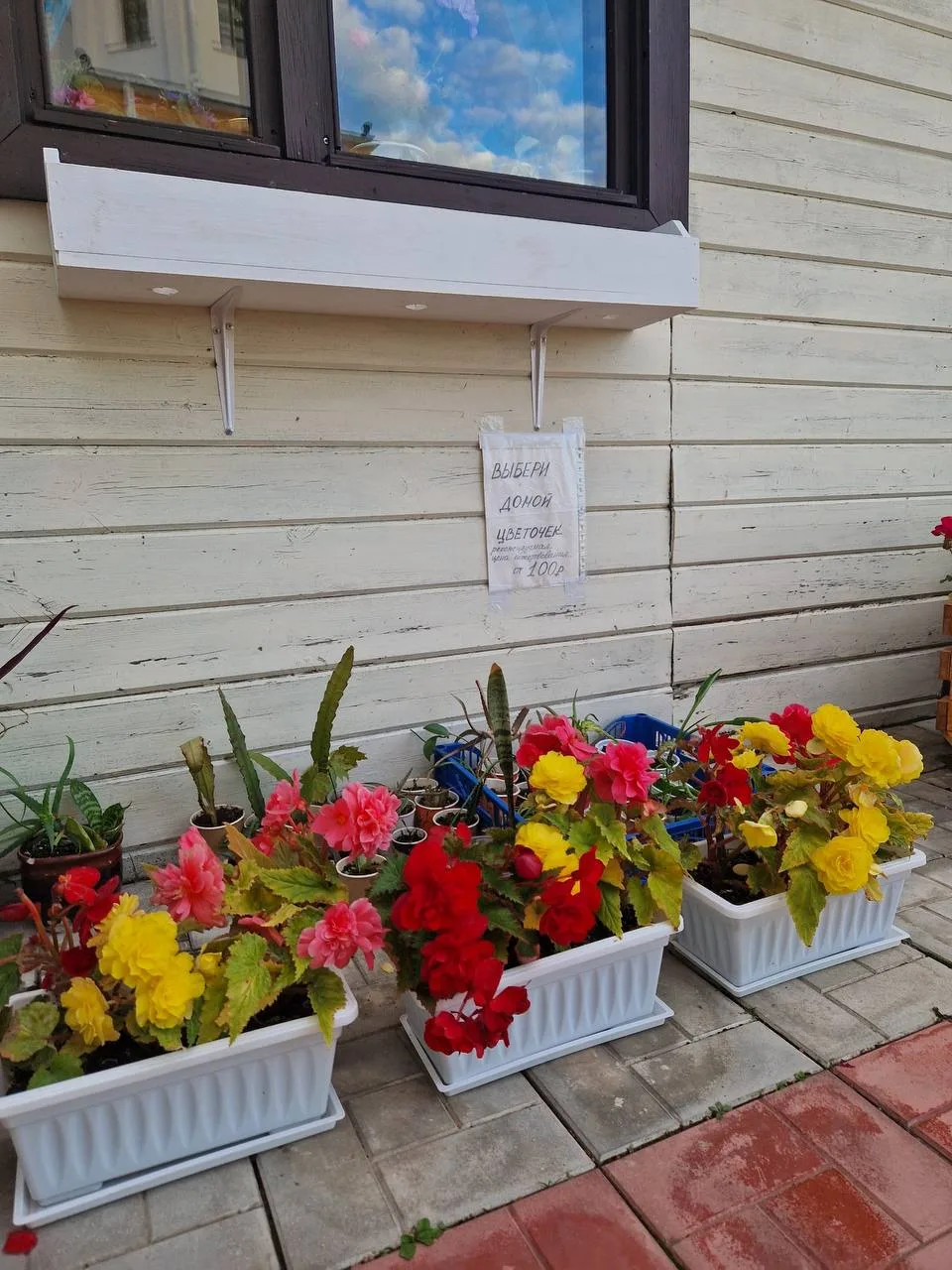 Около храма в Рублево можно за благотворительность взять красивый цветок🌺