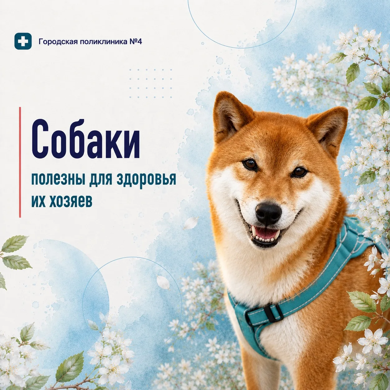 🐕 Ваш хвостатый помощник в борьбе за здоровье