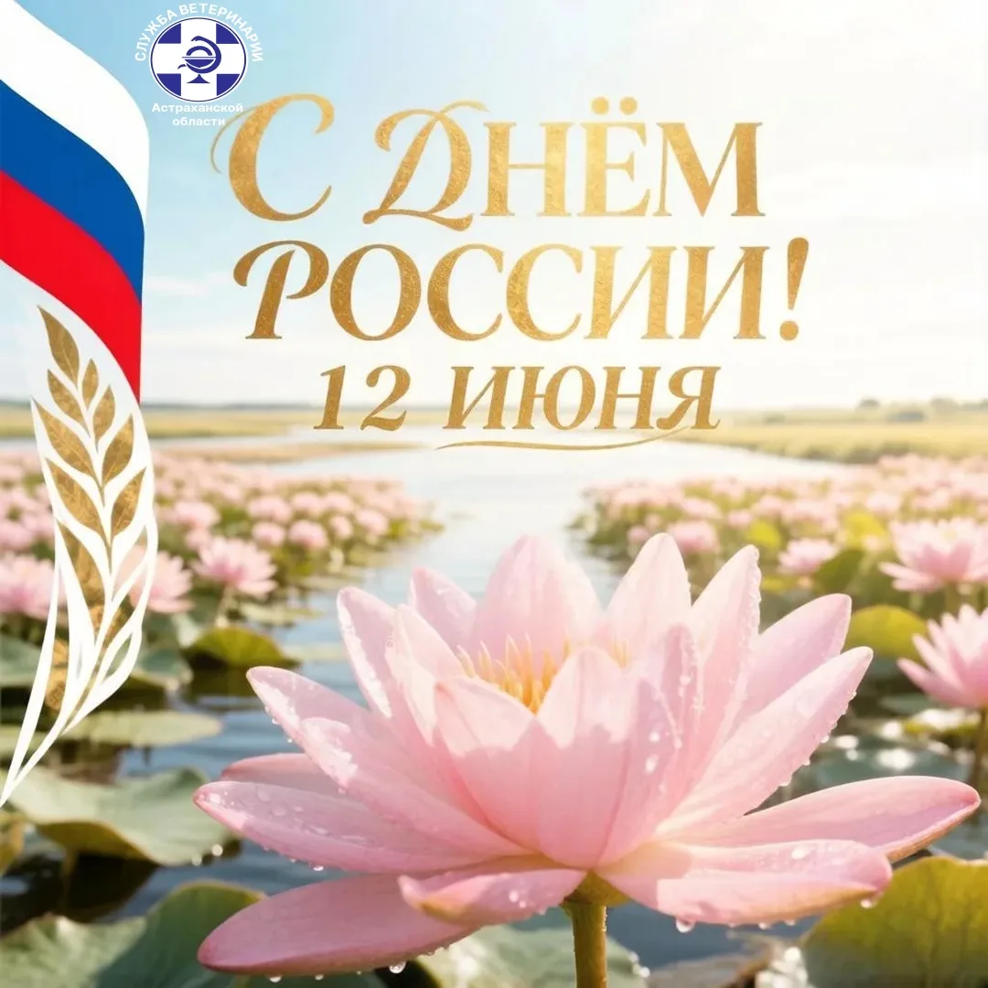 🇷🇺Уважаемые коллеги, друзья, жители  города Астрахани  и Астраханской области!
Примите самые искре