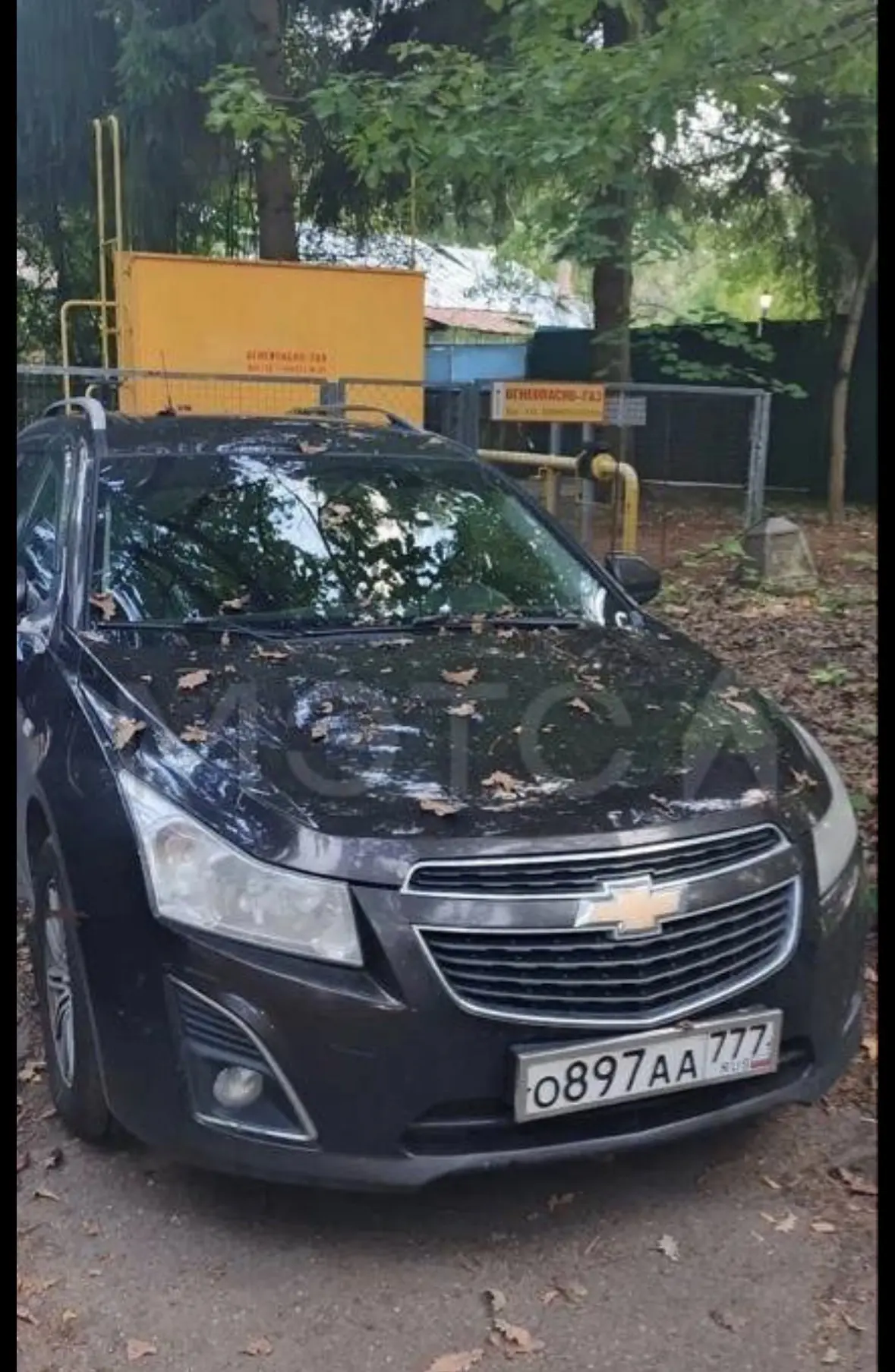 🔥 ЛОТ №2955
