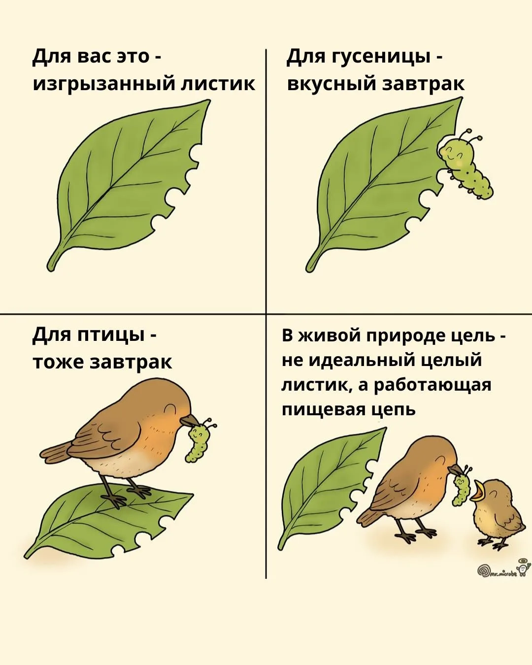 Автор комикса - mr_microbe