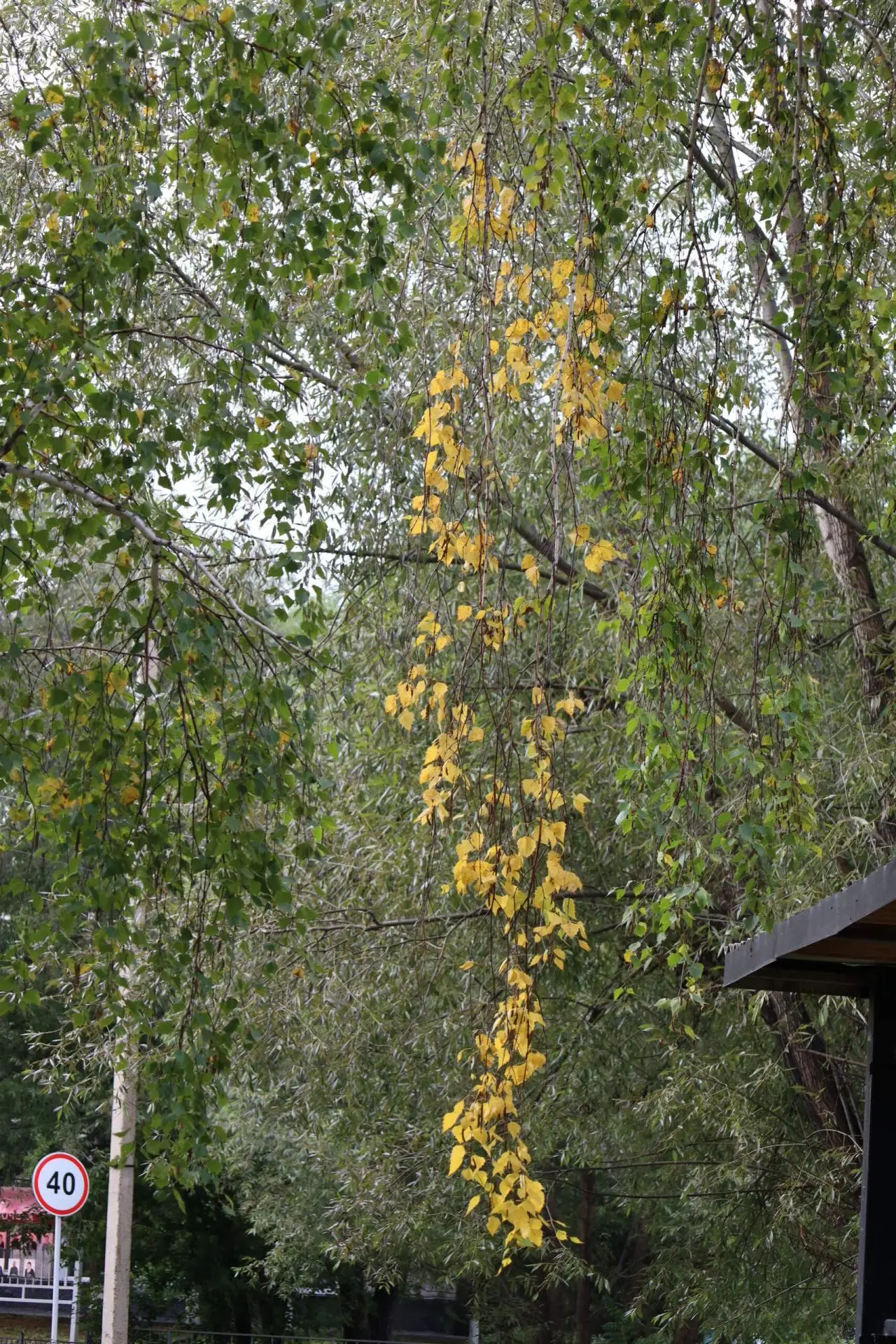 Доброе утро понедельника 🌄.