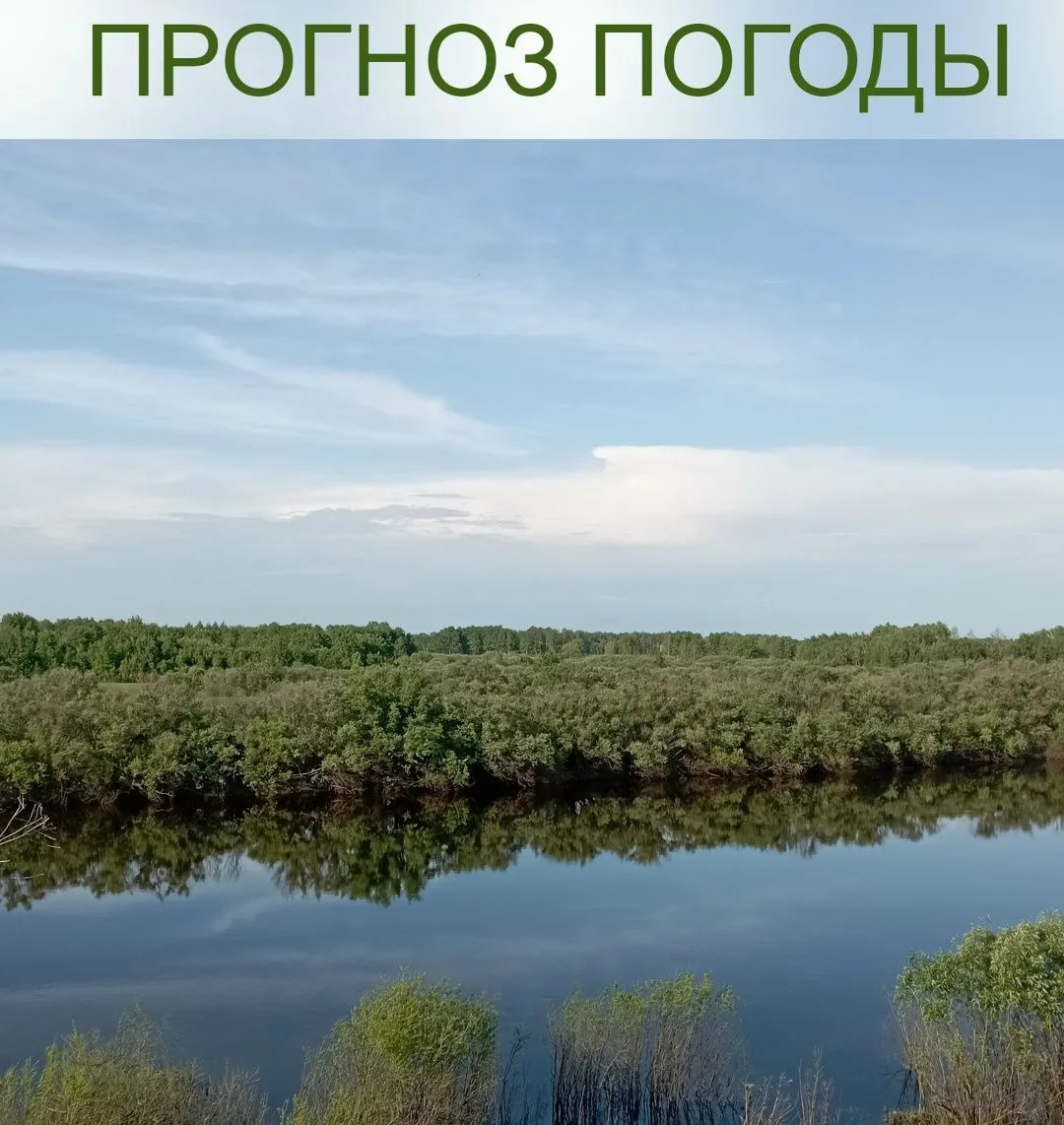 4 июня ночью переменная облачность, местами небольшой дождь, туман, днем облачно с прояснениями, кра