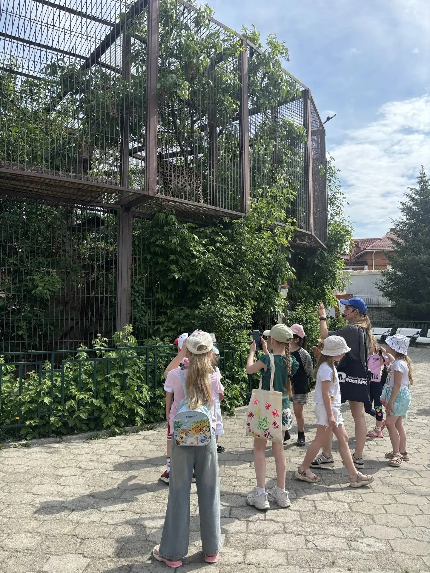 🌳🦁 Майский эко-марафон 1Г: от редких растений до царя зверей! Наши первоклассники из 1 «Г» завершают