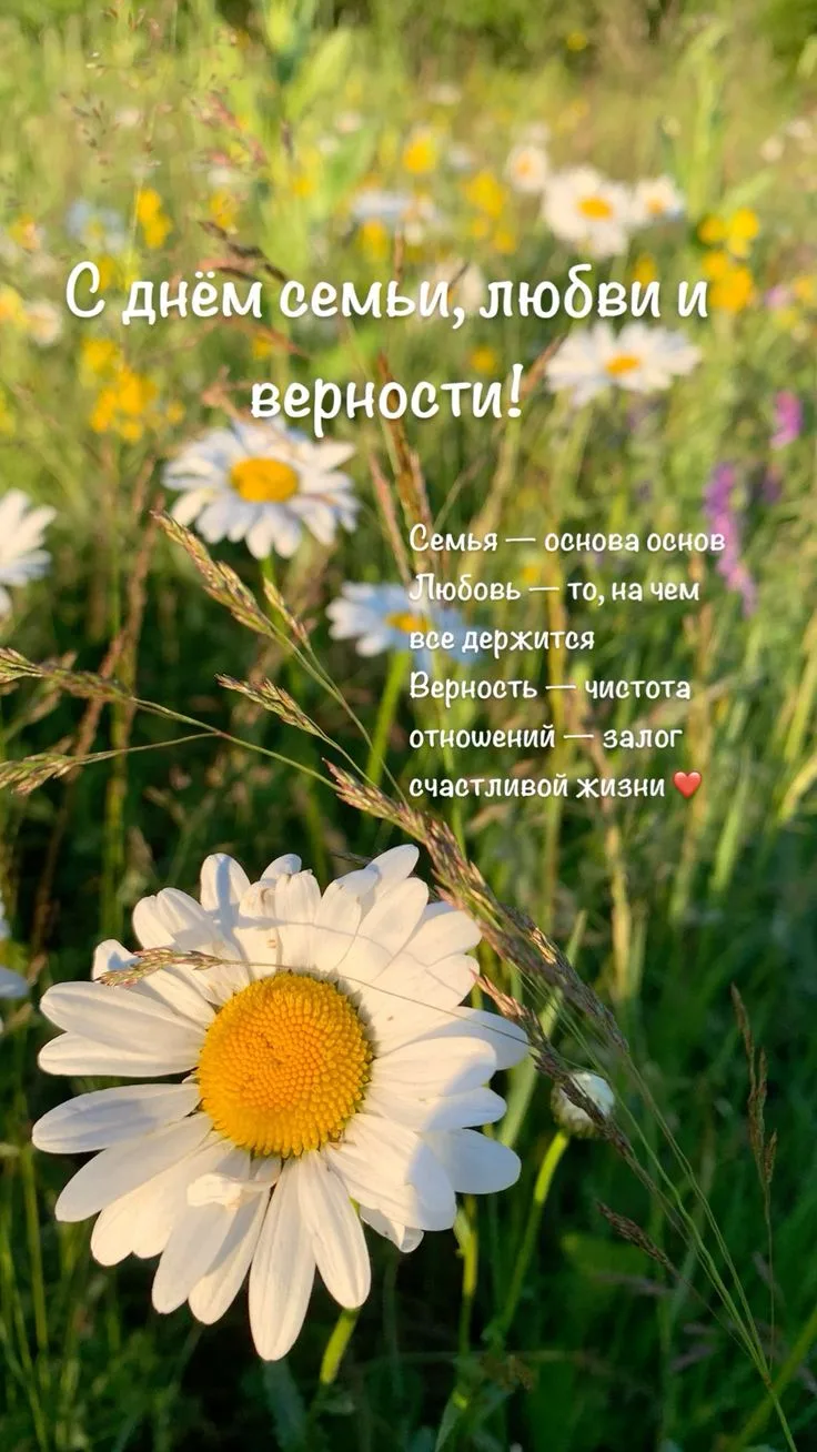 Уважаемые родители и коллеги!

Сердечно поздравляем вас с прекрасным праздником — Днем семьи, любви 