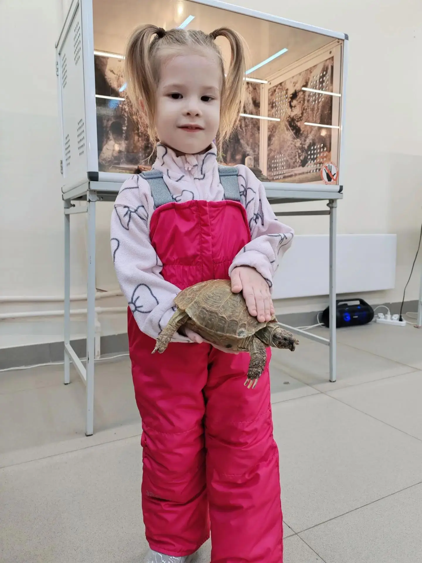Друзья, у нас отличные новости! ✨