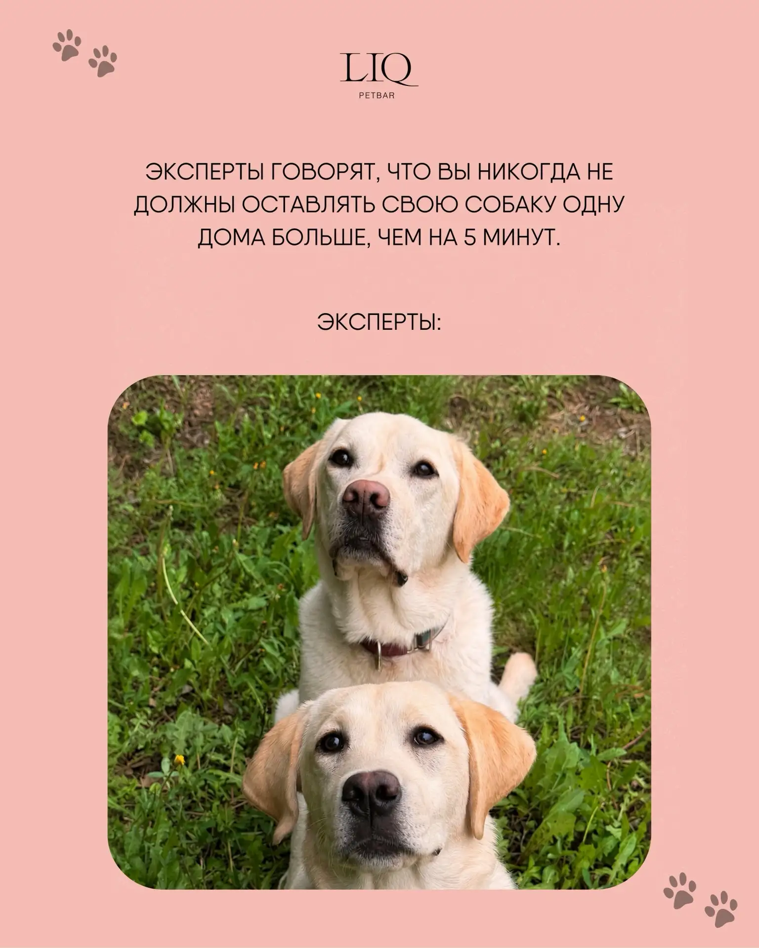 эксперты всегда правы😅🤍