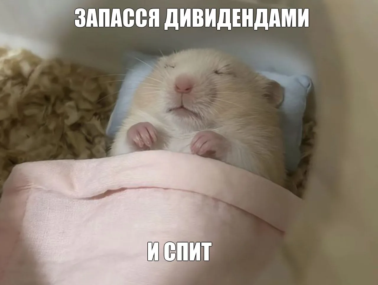 Т-Технологии выплатят инвесторам 12,6 млрд рублей осенних дивидендов, сами акции на нов...