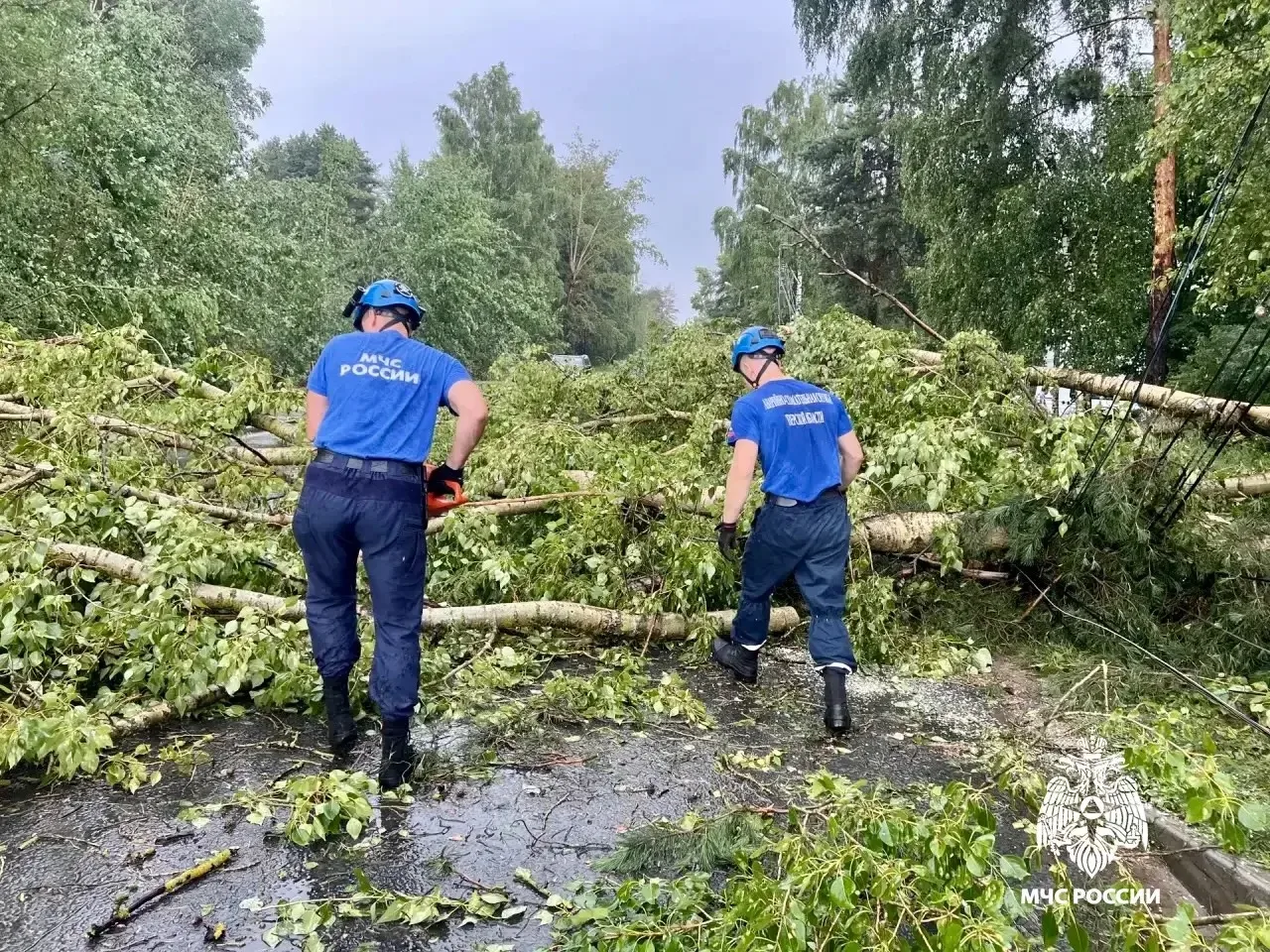 Вон сколько в Твери  наваляло