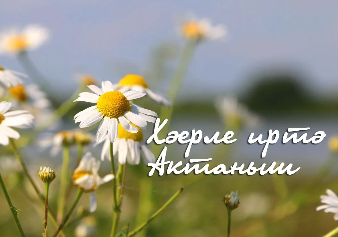 Хәерле иртә дуслар!. Ялларыгыз имин узсын🤚