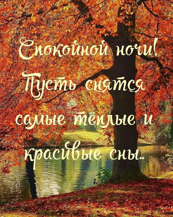 ❤️🔶🌿❤️🔶🌿❤️🔶🌿