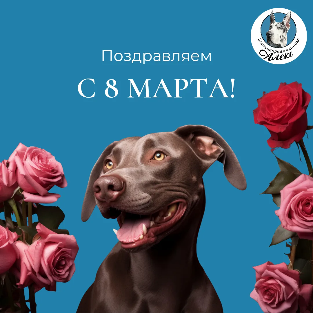 С 8 Марта! Мы искренне сопереживаем вашим обоям, диванам и занавескам. Но мы знаем глав...