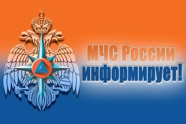 В Отделе надзорной деятельности и профилактической работы по павловскому округу рассказ...