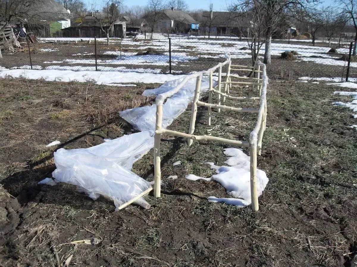 🌱 МАРТ 2026: СТАРТ СЕЗОНА — ЧТО ДЕЛАТЬ ОГОРОДНИКУ?  Март — месяц пробуждения. Снег тает, день растёт