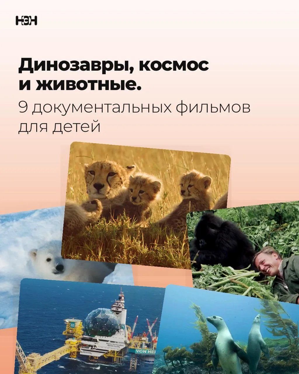😍  Документальное кино давно снимают как блокбастеры, только вместо погонь там киты, д...