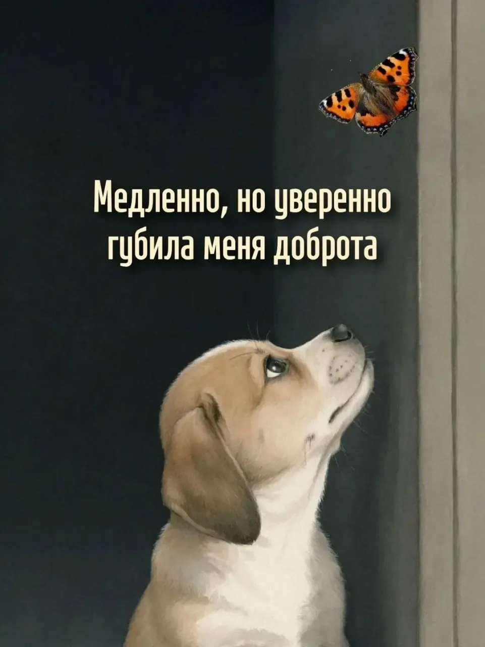 Смысл в каждой фразе — Подпишись